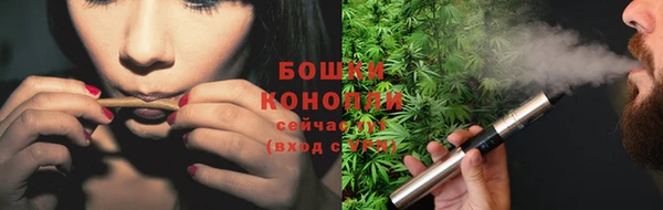 гидра Абаза