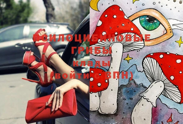 гидра Абаза