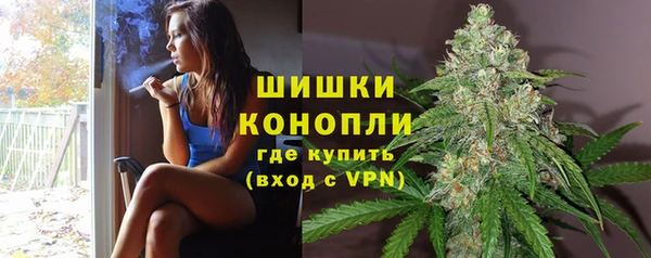 гидра Абаза